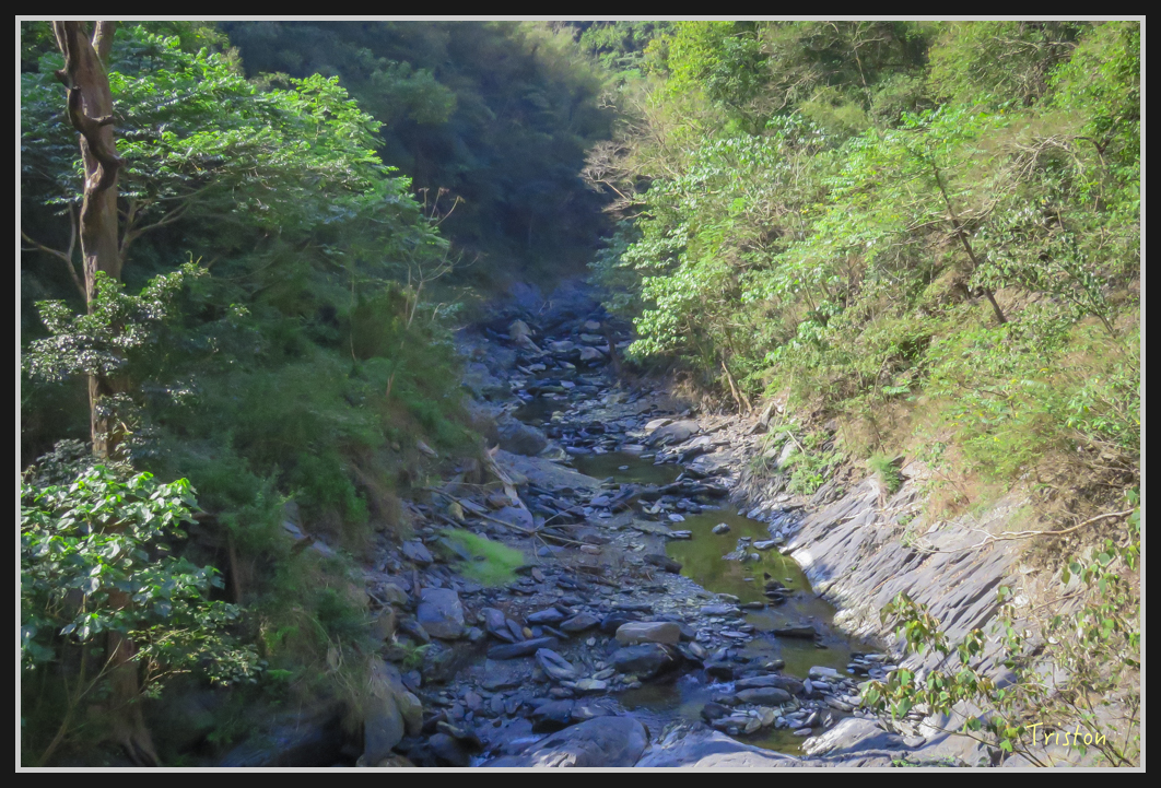 IMG_0694.jpg - 20170111 龍頭山步道、羅木斯步道、茂林谷瀑布
