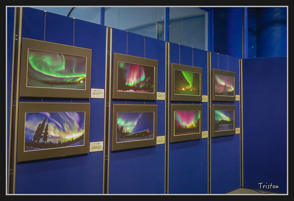 Canon-1000.jpg - 20170120 大阪神戶親子遊 