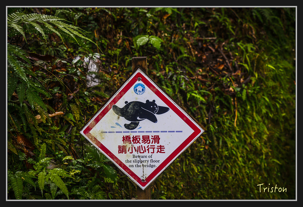 2017-02-27 10.03.53 下午 _MG_0314.jpg - 20170225 玉里瓦拉米