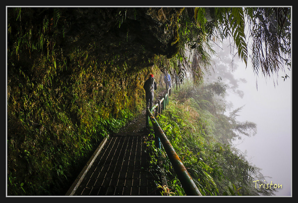 2017-02-27 10.03.53 下午 _MG_0209.jpg - 20170225 玉里瓦拉米