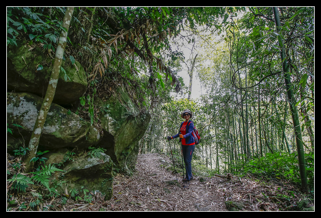 _MG_0157.jpg - 20170408 瑞太古道