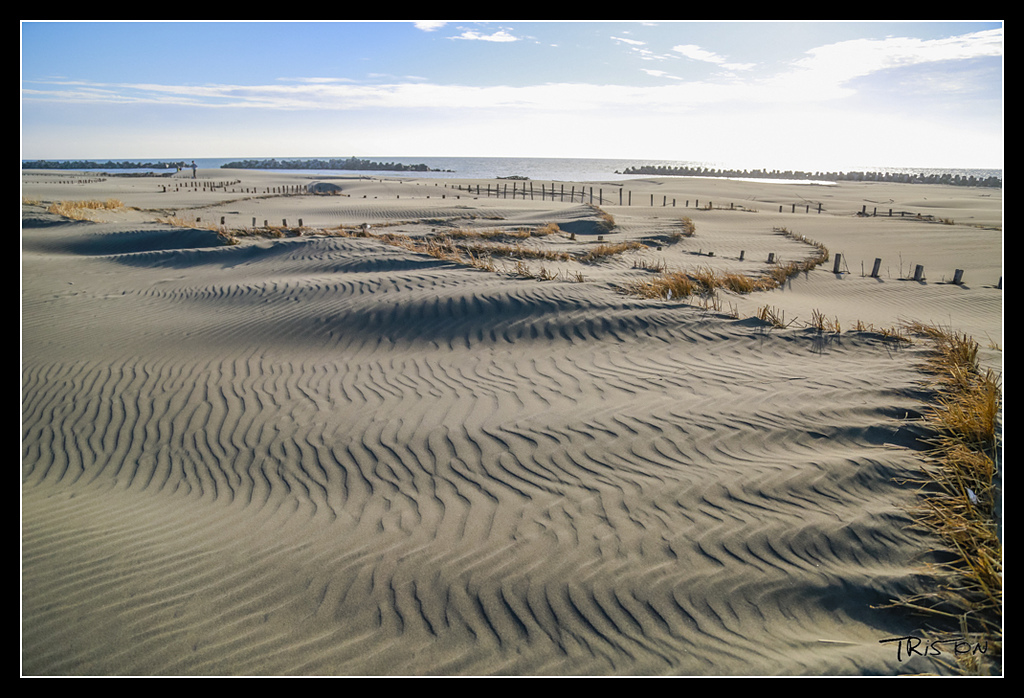 _H1A4398.jpg - 20170521 國聖燈塔