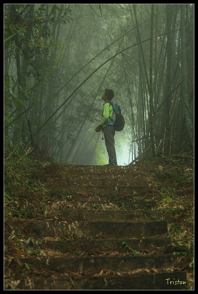 JH1A9762.jpg - 20150920 石棹,霧之道 茶之道 雲之道