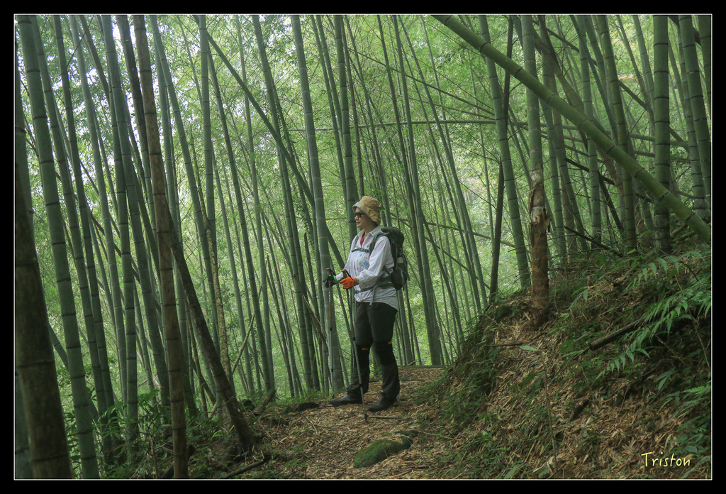 IMG_8469.jpg - 20151012 水社寮,四天王山