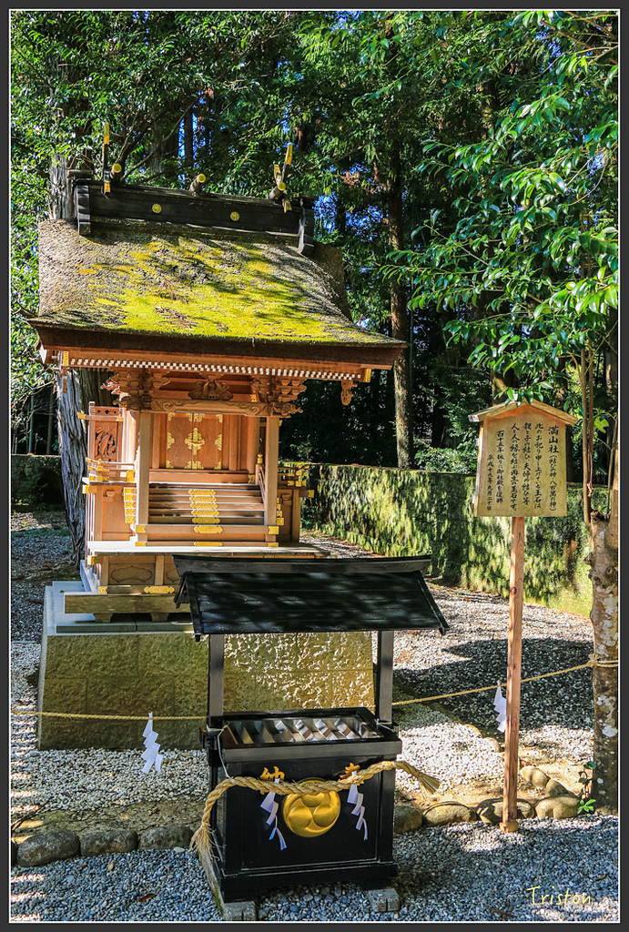 IMG_4911.jpg - 20160323 日本熊野古道健行