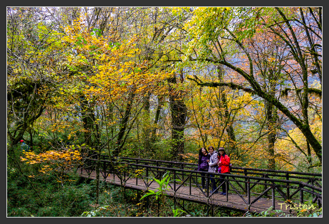 _MG_2733.jpg - 20161013 稻城亞丁