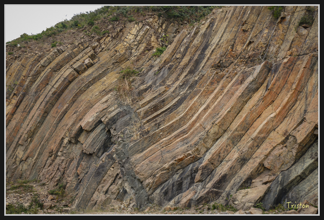 00296.jpg - 20170107 香港健行