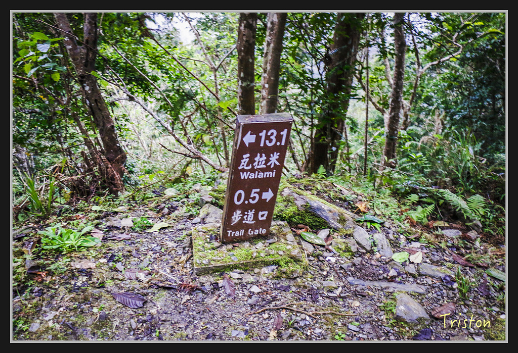 2017-02-27 10.03.53 下午 _MG_0162.jpg - 20170225 玉里瓦拉米