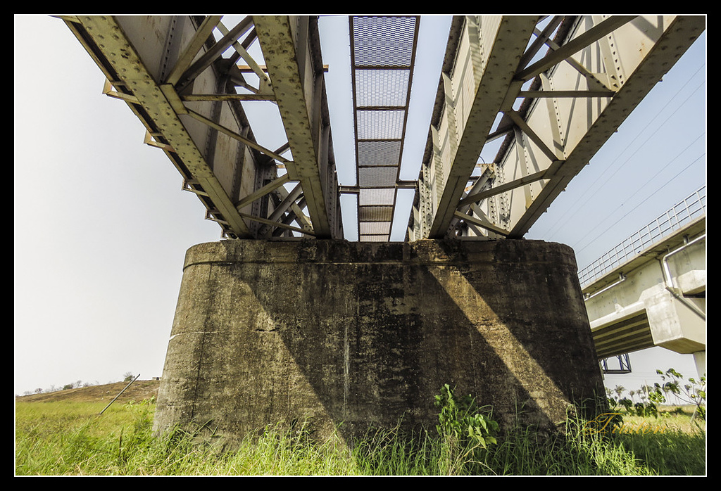 IMG_0012.jpg - 20170327 二層行溪鐵橋+環頸雉