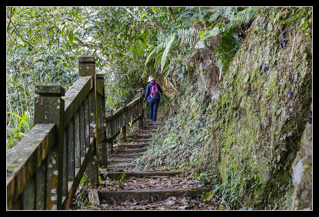 _MG_0053.jpg - 20170408 瑞太古道