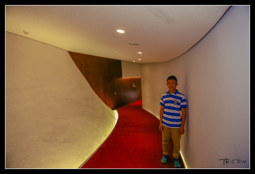 _H1A4333.jpg - 20170520 台中輕旅行-審記新村、忠信市場、國家歌劇院