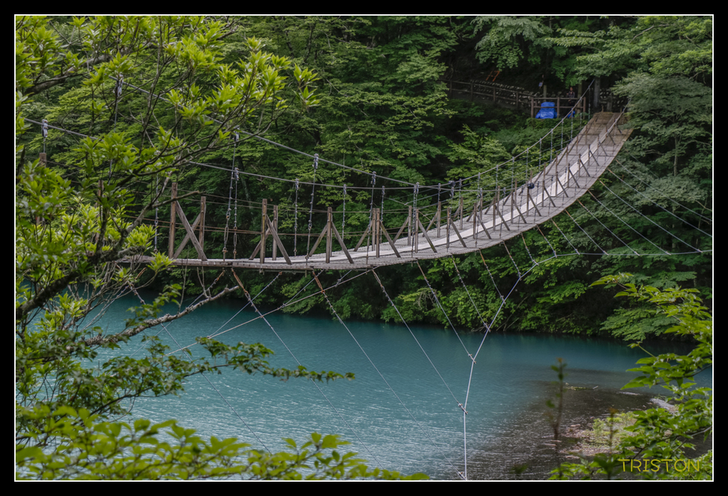 _MG_0808.jpg - 20170702 靜岡東海道之旅