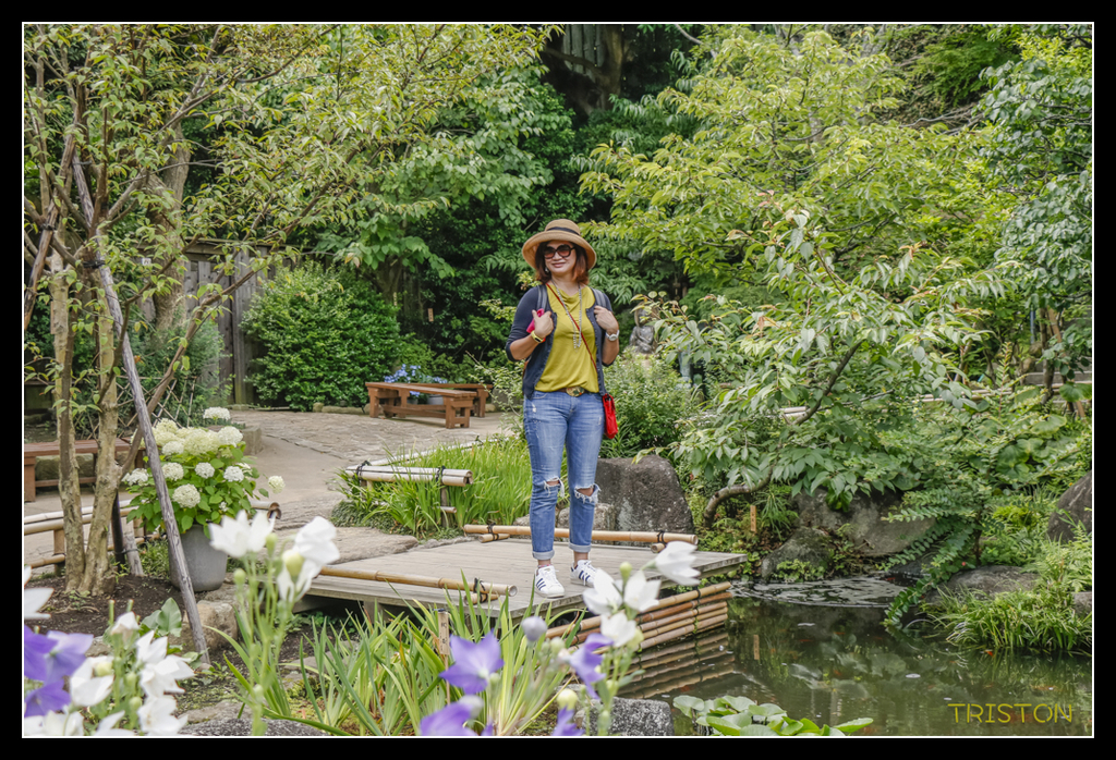 _MG_1443.jpg - 20170702 靜岡東海道之旅