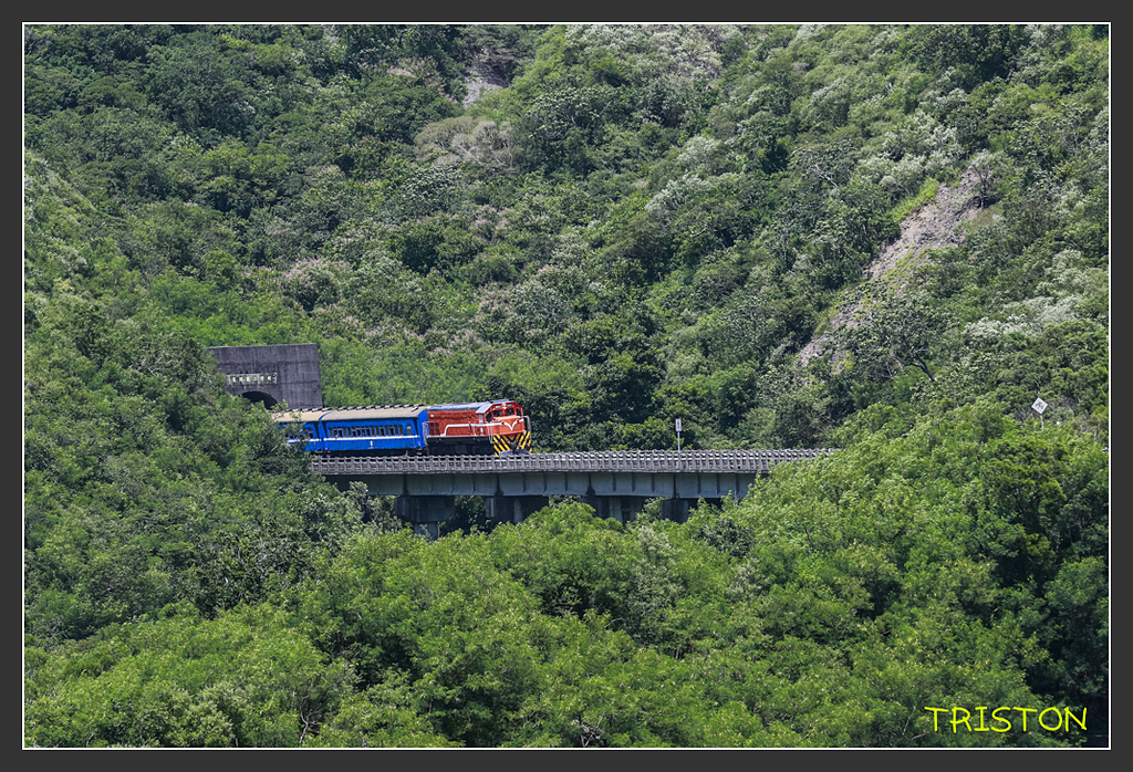 _H1A7095.jpg - 20170916 中央號誌站、枋山車站、南迴線