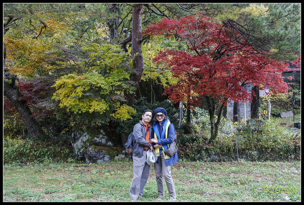 _H1A0667.jpg - 20171103 日本只見線、會津若松五色沼、昭和記念公園賞紅葉