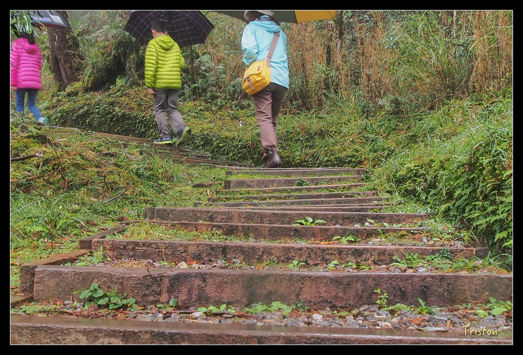 PA240120.jpg - 20151024~25 幾米公園、翠峰湖、翠峰山屋、望洋山步道、山毛櫸步道