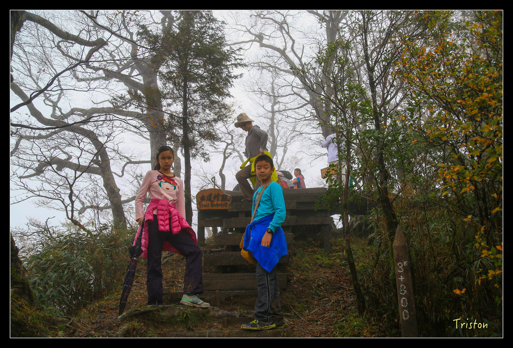 JH1A0214.jpg - 20151024~25 幾米公園、翠峰湖、翠峰山屋、望洋山步道、山毛櫸步道