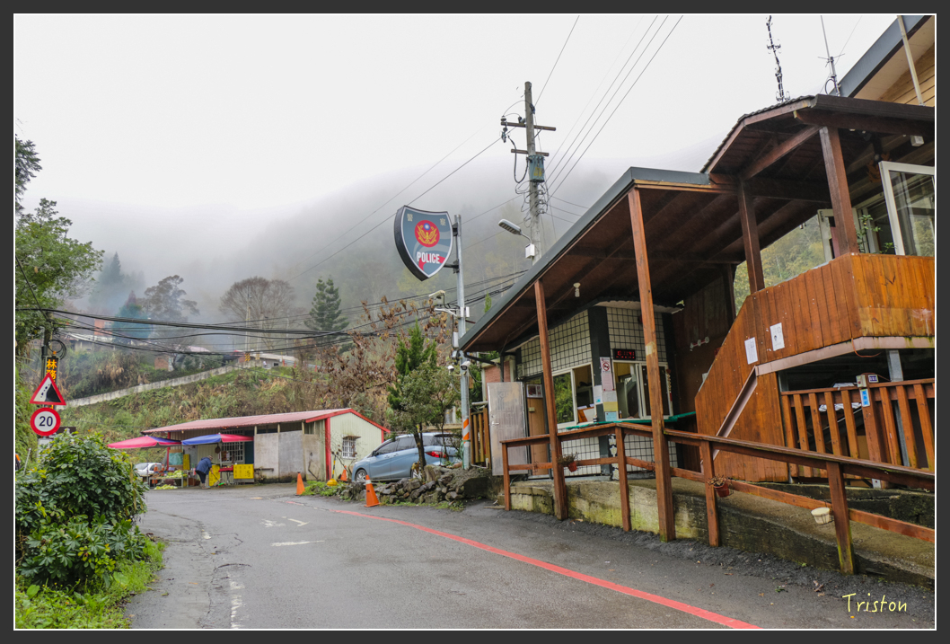 IMG_3229.jpg - 20160227 觀霧森林步道