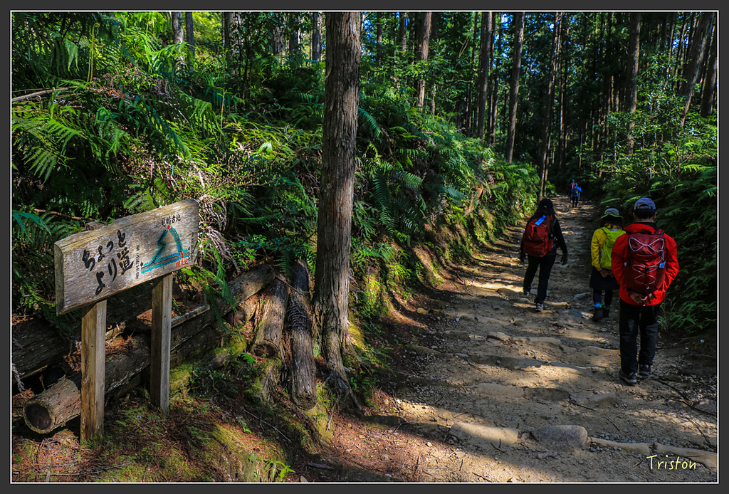 IMG_4852.jpg - 20160323 日本熊野古道健行