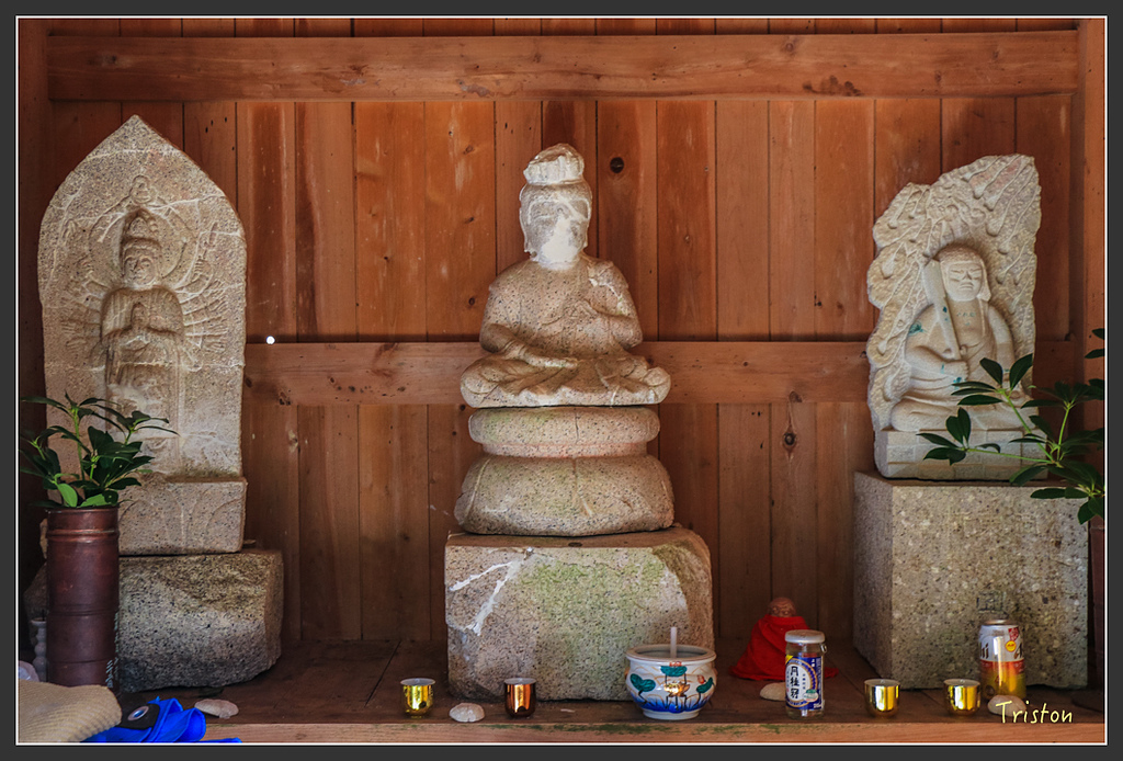 IMG_4709.jpg - 20160323 日本熊野古道健行