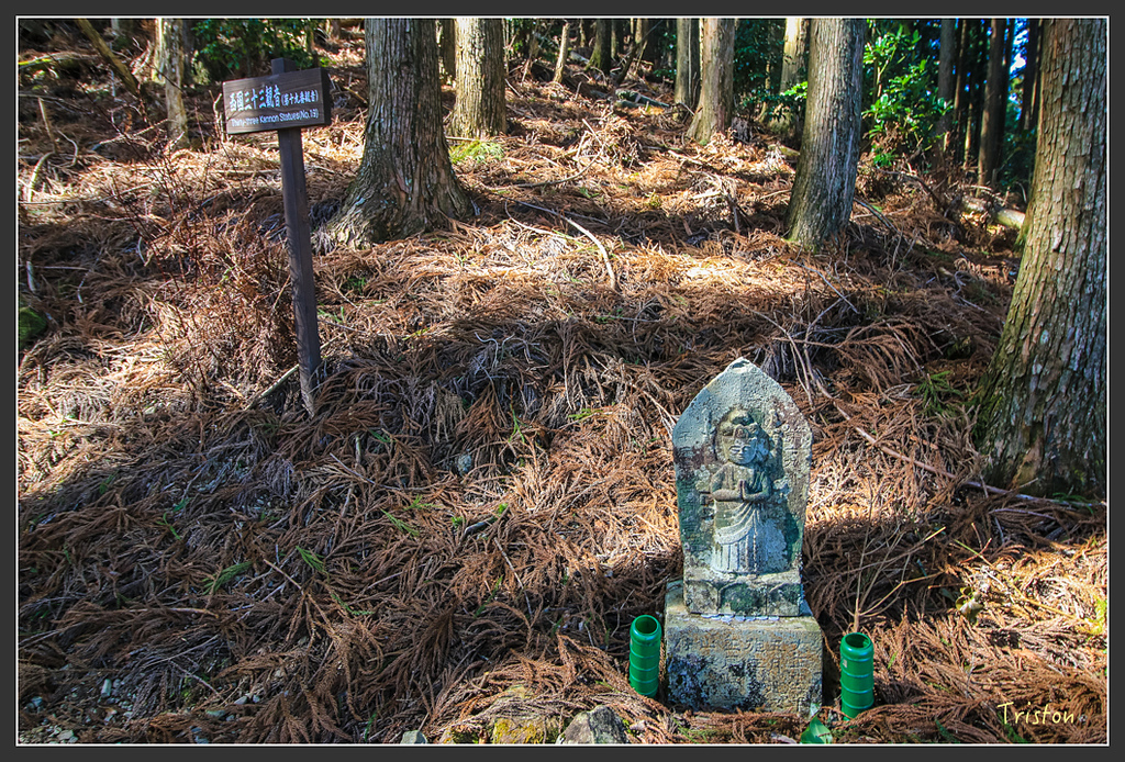 IMG_4725.jpg - 20160323 日本熊野古道健行