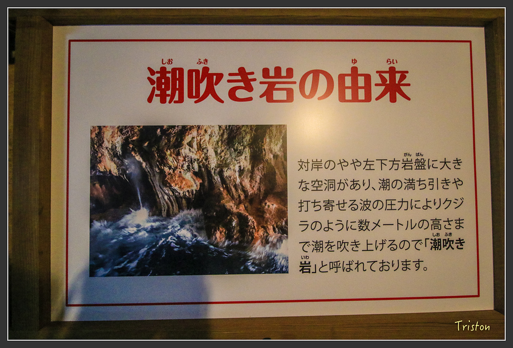 IMG_5937.jpg - 20160323 日本熊野古道健行