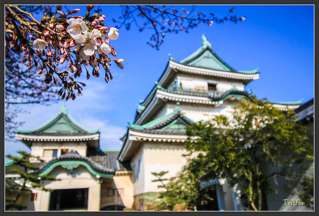 IMG_5993.jpg - 20160323 日本熊野古道健行