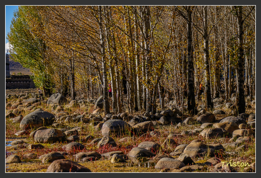 _MG_1571.jpg - 20161013 稻城亞丁