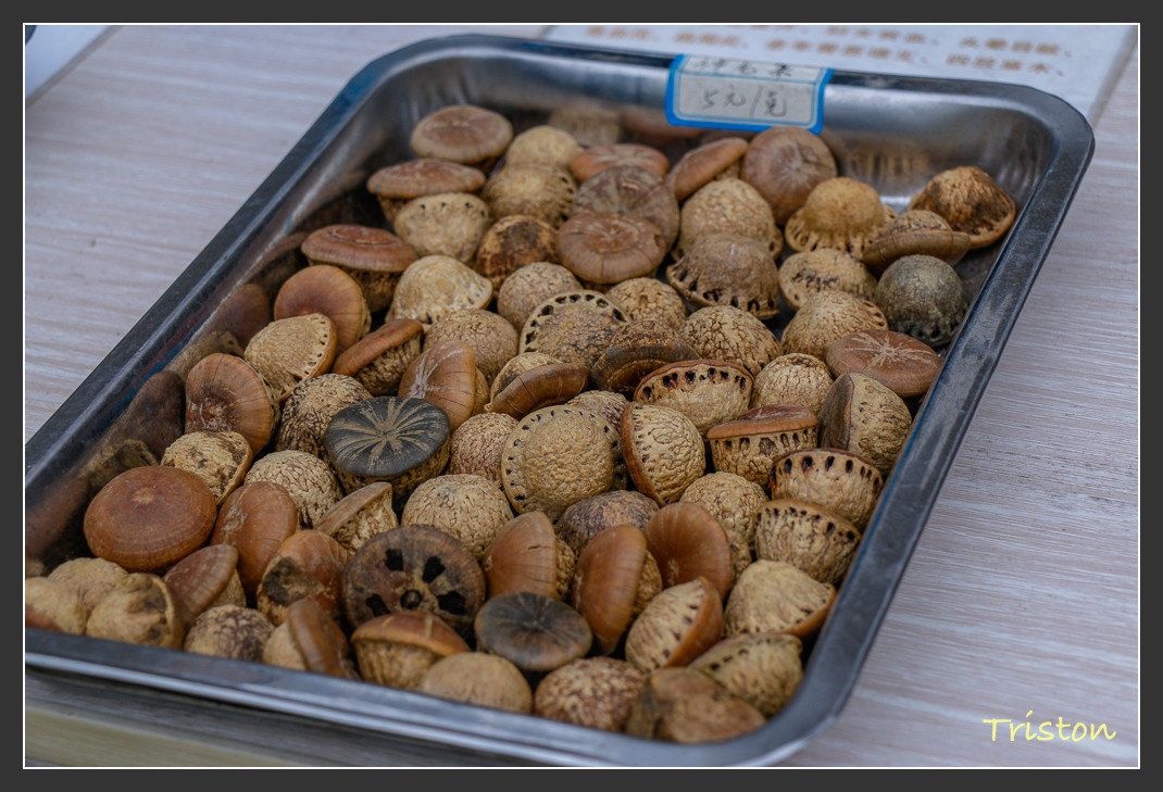 _MG_0203.jpg - 20161013 稻城亞丁