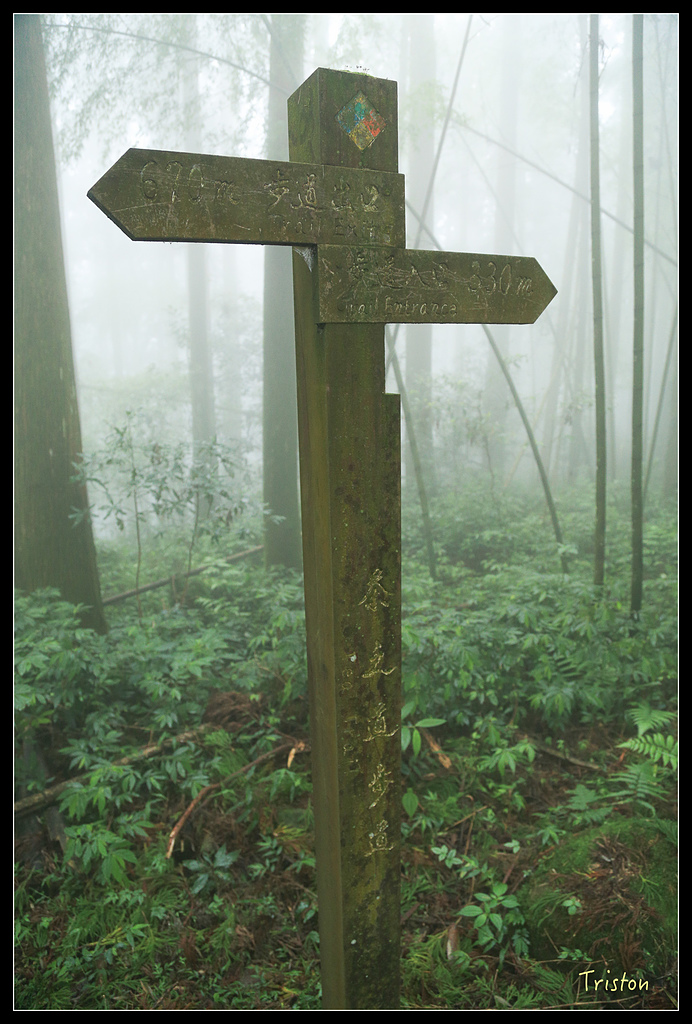 JH1A9769.jpg - 20150920 石棹,霧之道 茶之道 雲之道