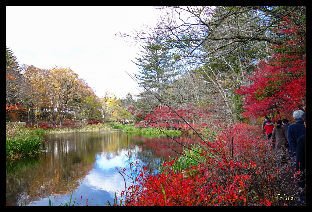 DSC00365.jpg - 20151031 秋天的童話-貴婦東京輕井澤紀行