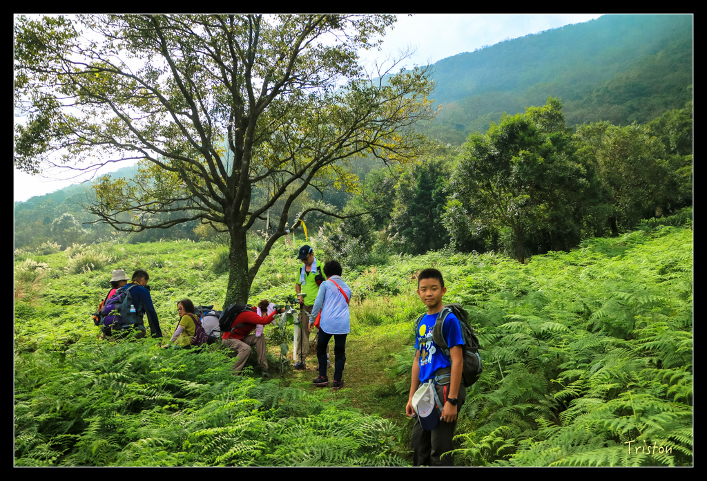 IMG_0545.jpg - 20151107 富士坪古道