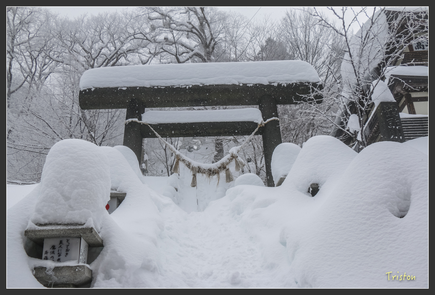 2016ZAO-01256.jpg - 20160131 日本藏王溫泉滑雪親子行