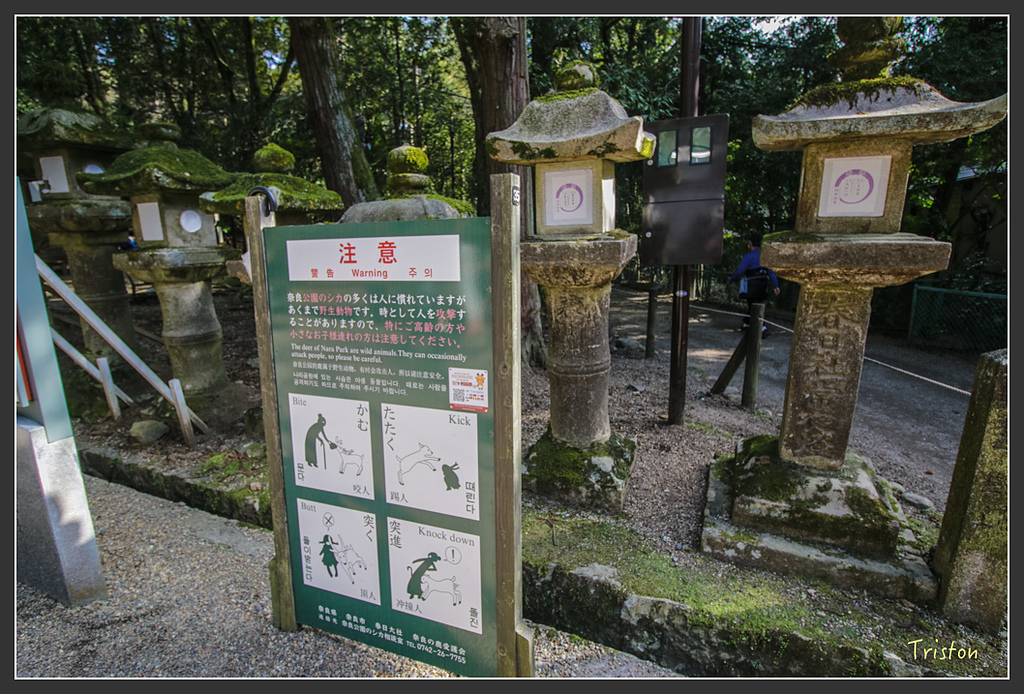 IMG_4034.jpg - 20160323 日本熊野古道健行