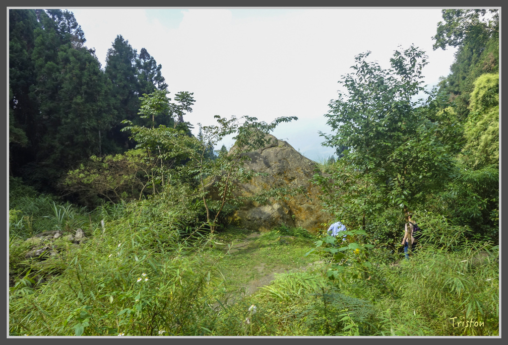 DSC00824.jpg - 20160924 溪頭台寅山