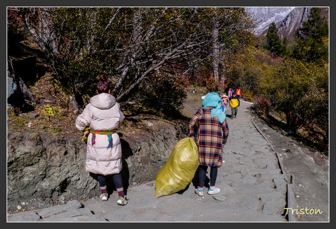 _MG_1858.jpg - 20161013 稻城亞丁