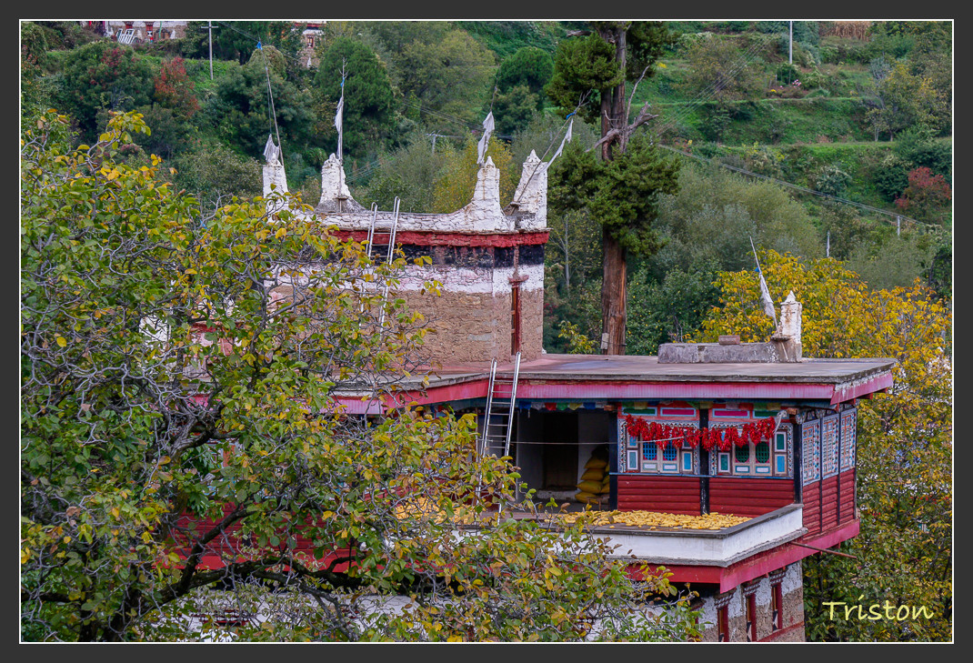 _MG_1109.jpg - 20161013 稻城亞丁