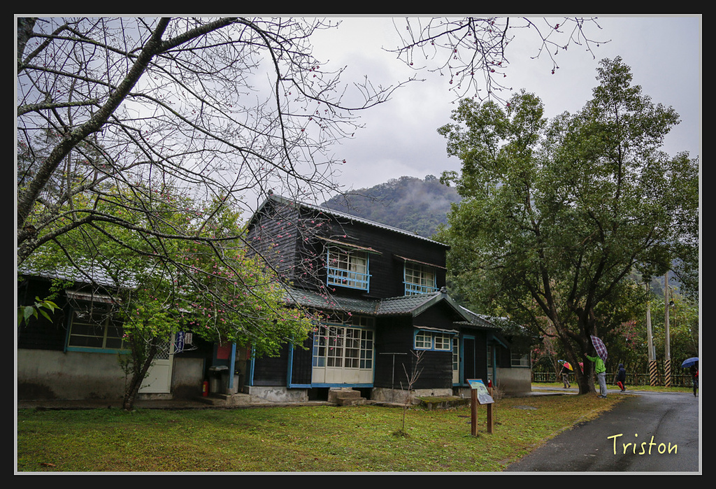 _H1A1963.jpg - 20170212 武界 萬大電廠 奧萬大