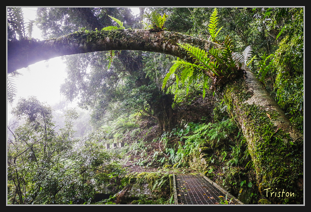 2017-02-27 10.03.53 下午 _MG_0266.jpg - 20170225 玉里瓦拉米