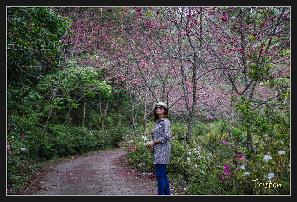 _H1A2533.jpg - 20170311 草嶺