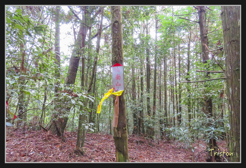 IMG_1373.jpg - 20170318 守關山、守城大山