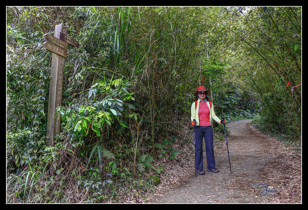 _MG_0024.jpg - 20170429 關仔嶺雞籠山