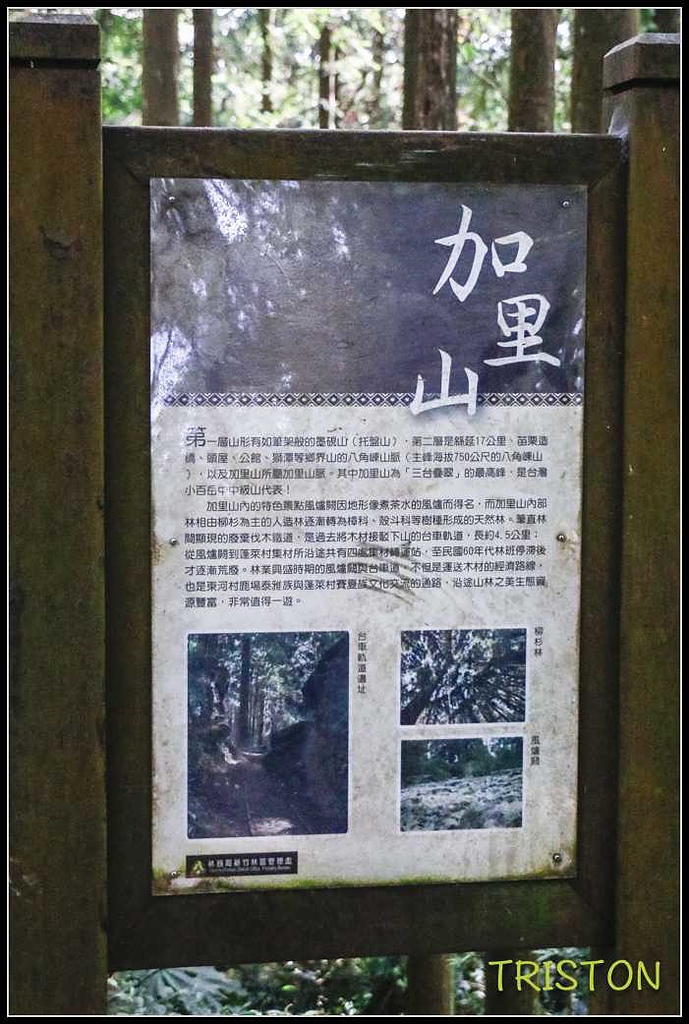 _MG_0034.jpg - 20170920 加里山