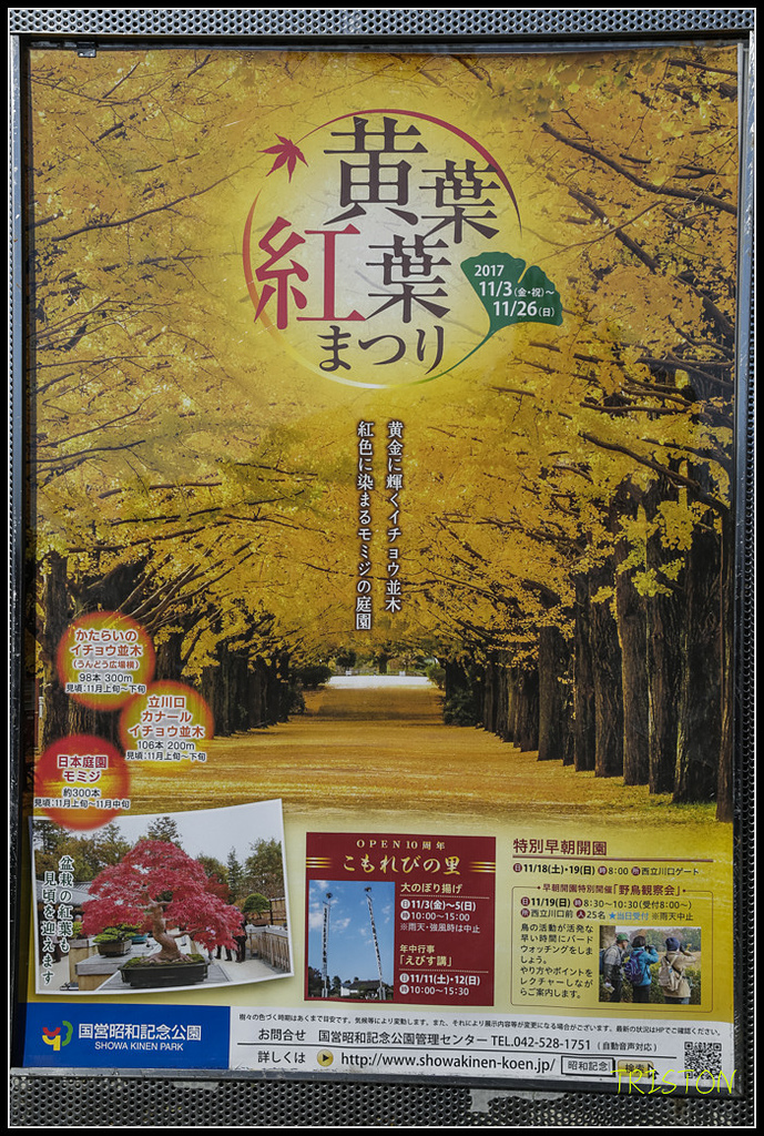 _H1A1834.jpg - 20171103 日本只見線、會津若松五色沼、昭和記念公園賞紅葉