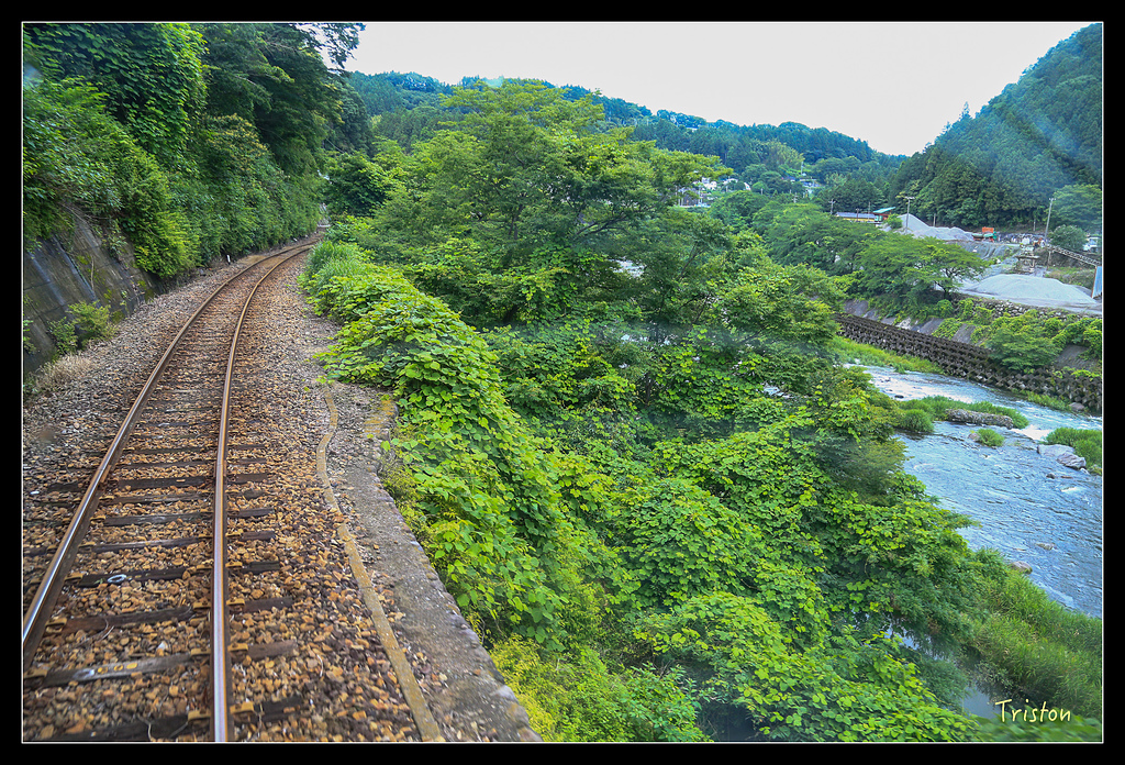 JH1A9712.jpg - 20150628 東京輕井澤日光