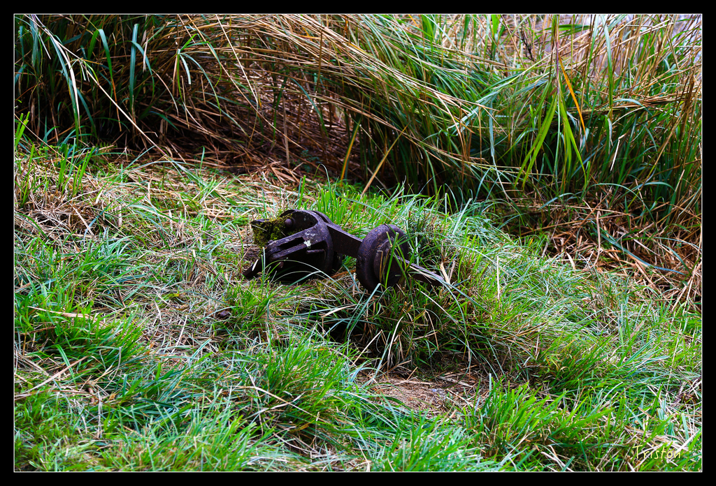 JH1A0235.jpg - 20151024~25 幾米公園、翠峰湖、翠峰山屋、望洋山步道、山毛櫸步道