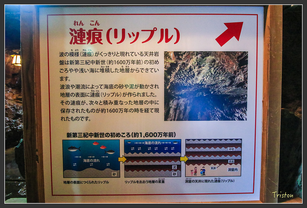 IMG_5942.jpg - 20160323 日本熊野古道健行