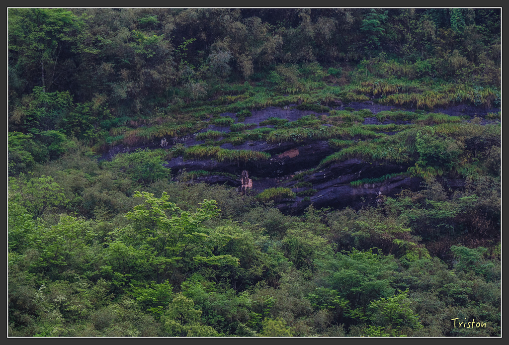 IMG_6762.jpg - 20160409 武夷山之旅