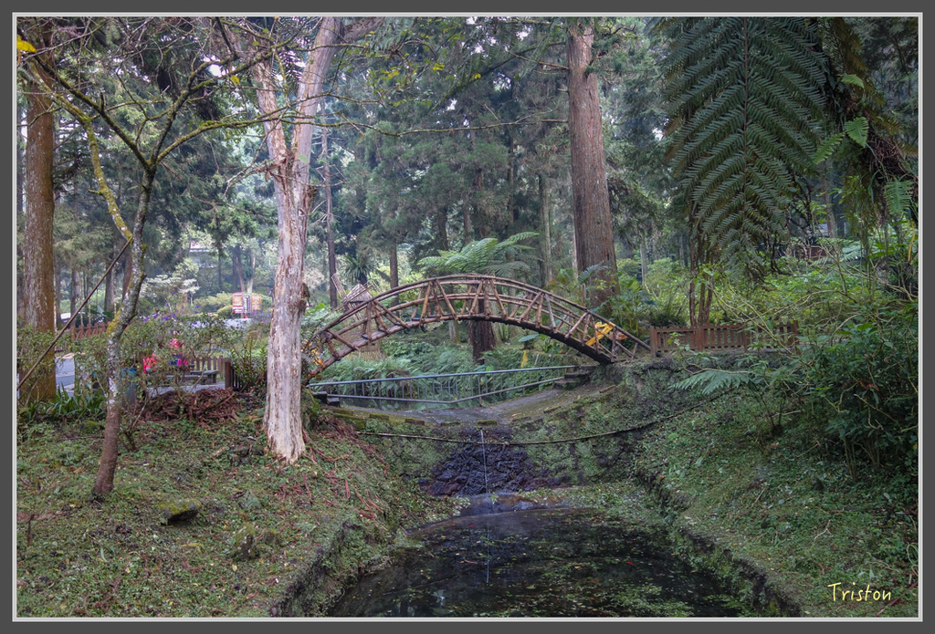 DSC00838.jpg - 20160924 溪頭台寅山