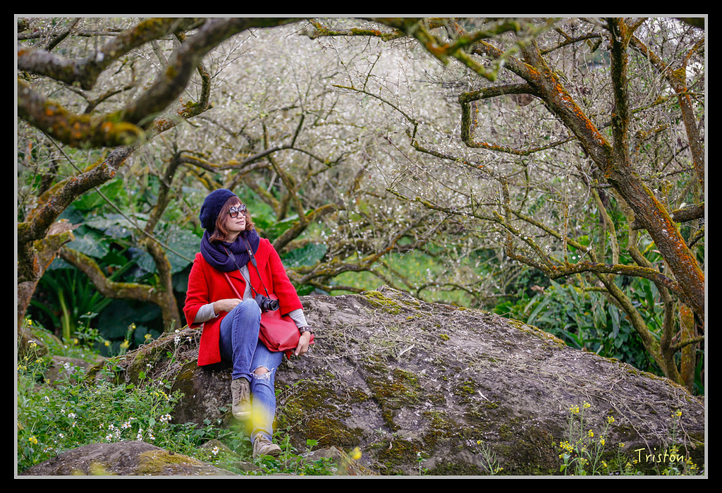 _H1A1334.jpg - 20170117 烏松崙、竹青庭